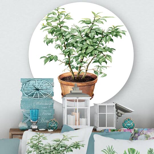 Designart - Ficus Benjamina In Clay Flowerpot